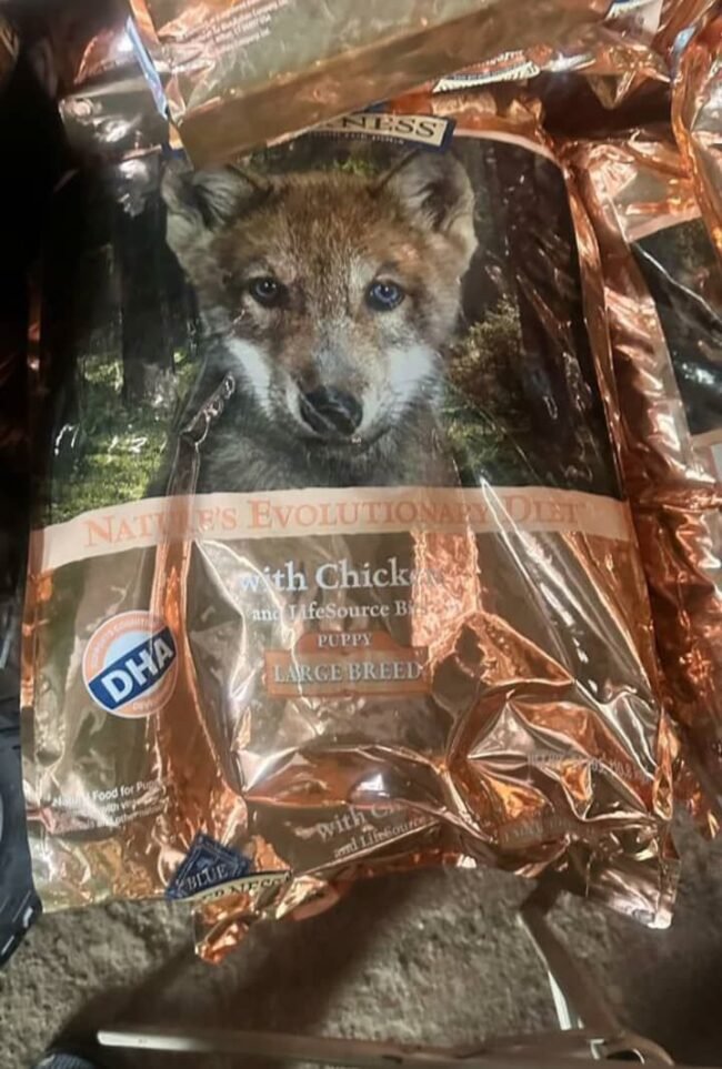 Dog Food Pallets - Image 2